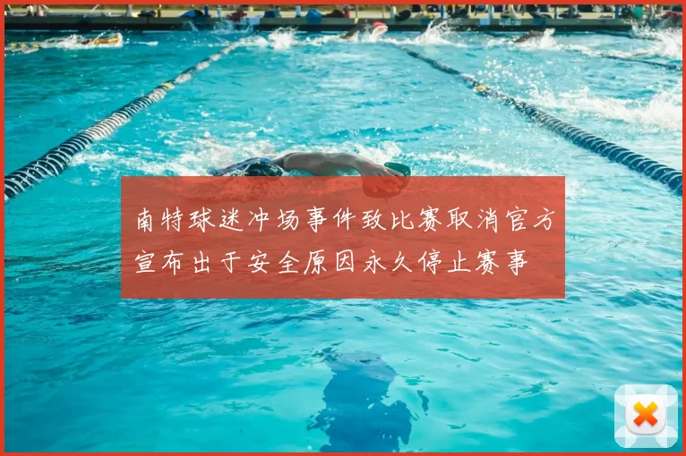 南特球迷冲场事件致比赛取消官方宣布出于安全原因永久停止赛事