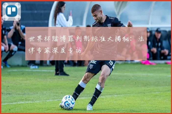 世界杯赌博罪判刑标准大揭秘:法律专家深度专访
