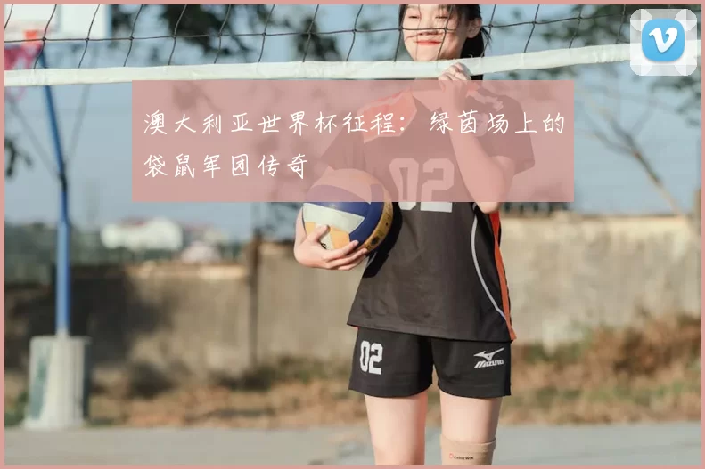 澳大利亚世界杯征程:绿茵场上的袋鼠军团传奇
