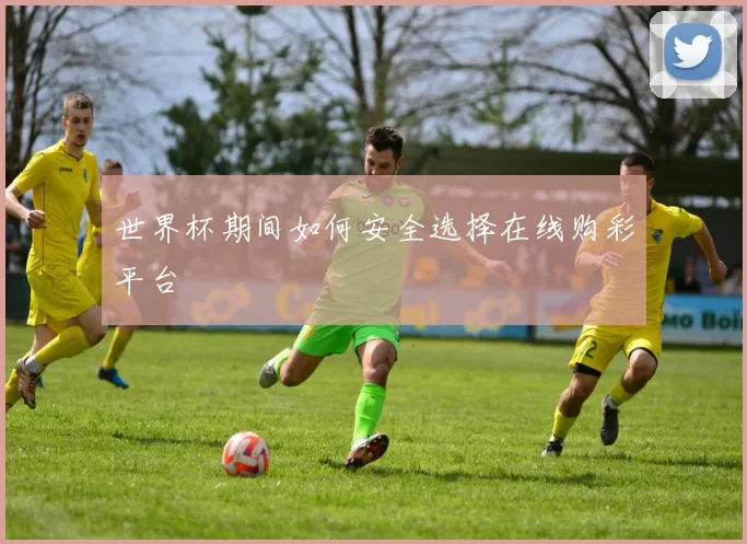 世界杯期间如何安全选择在线购彩平台