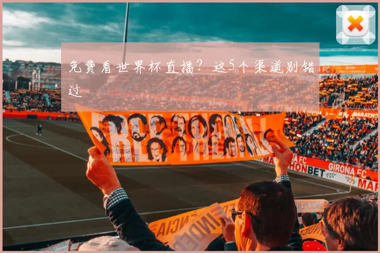 免费看世界杯直播?这5个渠道别错过