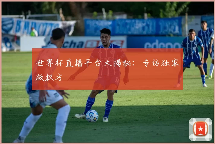 世界杯直播平台大揭秘：专访独家版权方