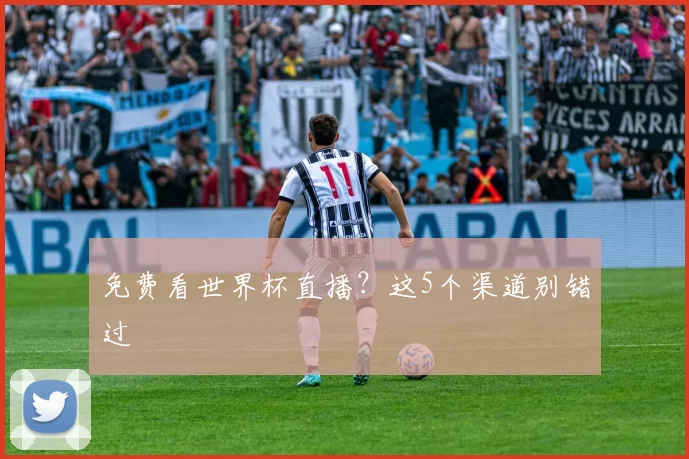 免费看世界杯直播?这5个渠道别错过