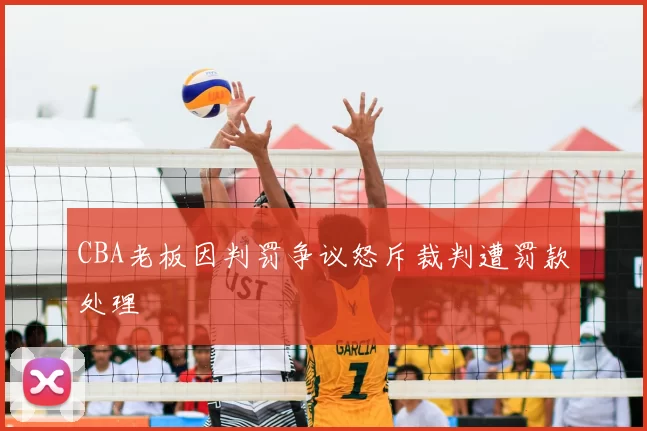 CBA老板因判罚争议怒斥裁判遭罚款处理